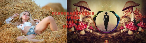 ГАЛЛЮЦИНОГЕННЫЕ ГРИБЫ Балабаново