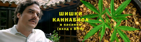 ГАЛЛЮЦИНОГЕННЫЕ ГРИБЫ Балабаново